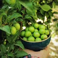 راهنمایی