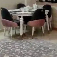 میزناهارخوریی چستر۴نفره