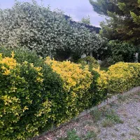 یک خانه. ویلایی در استان گیلان رشت|فروش خانه و ویلا|رشت, پسیخان|دیوار