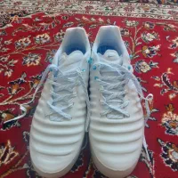 کفش سالنی تمپو x