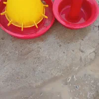 آب خوری و دون خوری