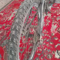 دوچرخه ۲۴|دوچرخه، اسکیت، اسکوتر|بهمن صغاد, |دیوار