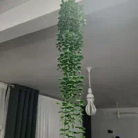 گل آویز