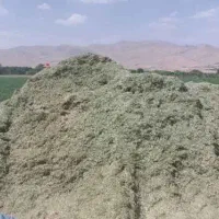یونجه درجه یک فروشی