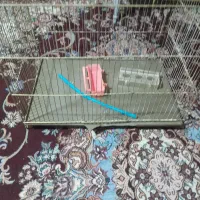 قفس مخصوص نگهداری پرندگان حجم بالا|لوازم جانبی حیوانات|تهران, جوادیه|دیوار