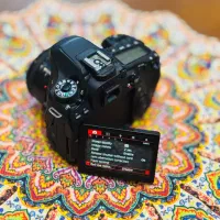 دوربین کنون 80D