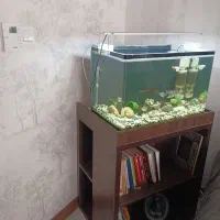 آکواریوم با ماهی و تجهیزات