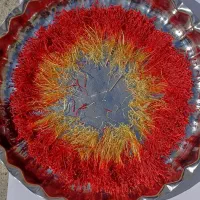 زعفران نوش دارو