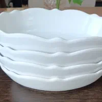 یازده عدد ظروف مرغ خوری  و سالاد خوری