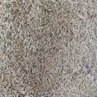 فروش جوآبی