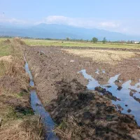 اجاره بیل بکهو به همراه خاور|خدمات حمل و نقل|تالش, هشتپر|دیوار