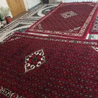 دو عدد فرش دستبافت ازندریان نو|فرش|همدان, |دیوار