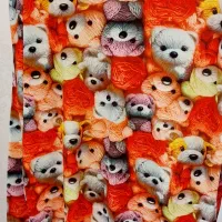 بلوز شلوار مخمل سه بعدی|لباس|تربتحیدریه, ابوذر|دیوار