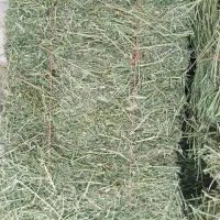 چین دو یونجه