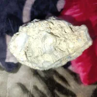 سنگ|جواهرات|تهران, مختاری|دیوار