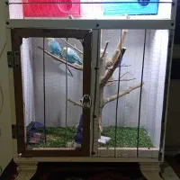 .  قفس چوبی خوشگل تمیز شیک|لوازم جانبی حیوانات|مشهد, شهید بصیر|دیوار