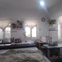 چرخکار حرفه ای