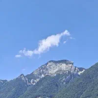 نیازمند وکیل یا کارآموز ماهر