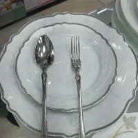 24 نفره برند پردیس