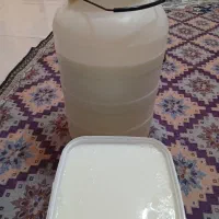 دوغ محلی خوشطعم کیلو۵۰ با لبنیاتیهاهمکاری میشود