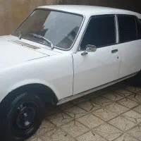 پژو۵۰۴|خودرو کلاسیک|مشهد, فرودگاه|دیوار