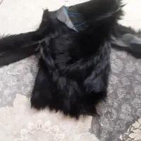 کت زنانه چرم|لباس|پاکدشت, پاکدشت (مامازند)|دیوار