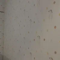 نصب کاغذدیواری وپوستر|خدمات پیشه و مهارت|دلیجان, |دیوار