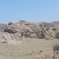 زمین فروشی