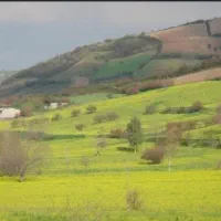 زمین کشاورزی کفشگیری
