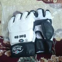 دستکش تکواندو|تجهیزات ورزشی|اردبیل, |دیوار