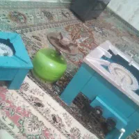 پیکنیک پلوپز بزرگ و کوچک سالم در حد