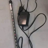 آکواریوم ماهیران|ماهی|فردیس, خیام شرقی|دیوار