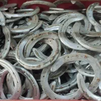 نعل اسب پاخورده استفاده شده کهنه قدیمی|اسب و تجهیزات اسبسواری|بندر ترکمن, |دیوار