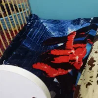 تخت گهواره کودک|تخت و سرویس خواب|برازجان, |دیوار