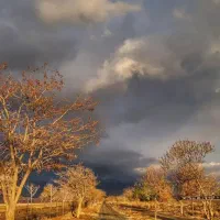 کارگر ساده
