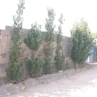 ۲۰۰متر ۴دیواری زکی اباد