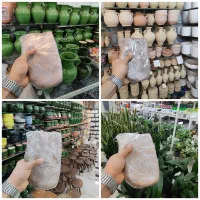 گل کوزه گری گل خاک رس بنجامین آدنیوم آگلونما پارچ