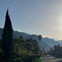۲۵۰۰ متر زمین توسکا نخ شمال