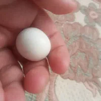 سنگ الماس آسیاب