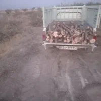 خرید و برش انواع چوب باغی|خدمات باغبانی و درختکاری|هشتگرد, شهرک گلها|دیوار