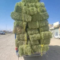 یونجه خالص و علف