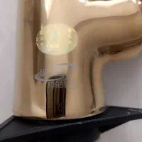 شیر طلایی سنگین