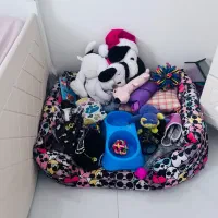باکس سگ و جا خواب