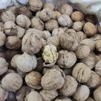 گردو|خوردنی و آشامیدنی|مشهد, مشکینی (شهرک غرب)|دیوار