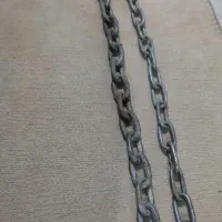 زنجیر.شیر.قفسه