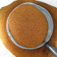 بذر یونجه ساقه بلند درجه یک