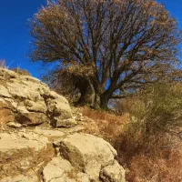 اجاره-مغازه-سه-راه-آستانه