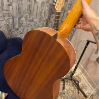 گیتار پارسی M5|گیتار، بیس، امپلیفایر|اصفهان, سروستان|دیوار