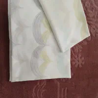 روتختی درحد نو پتو نو