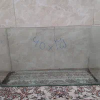 آکواریوم